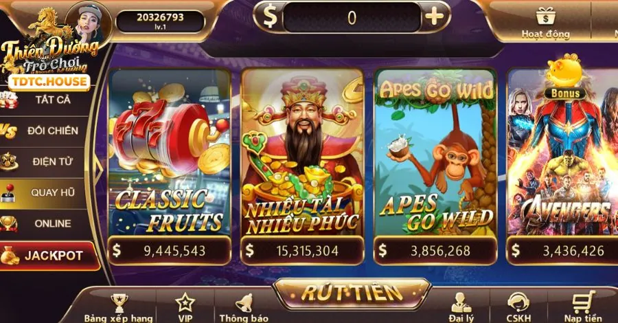 Quản lý vốn cá cược
